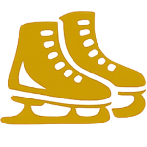 learn-2-skatesq