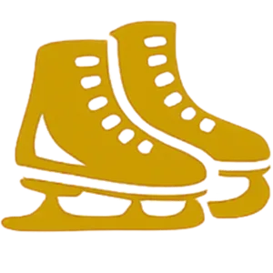 learn-2-skatesq